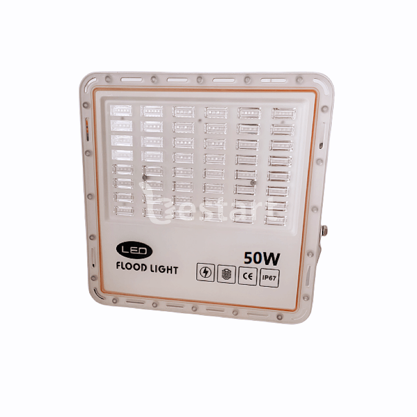 Floodlight-BC-Kiwi-F-A4