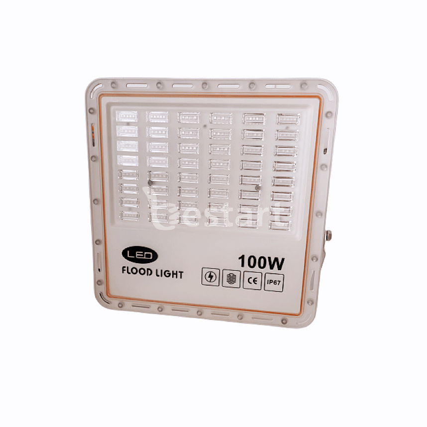 Floodlight-BC-Kiwi-F-A5